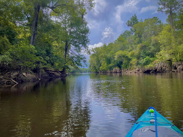 [Withlacoochee River -Shirley Kokidko]