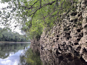 [Karst and Withlacoochee River --Shirley Kokidko]