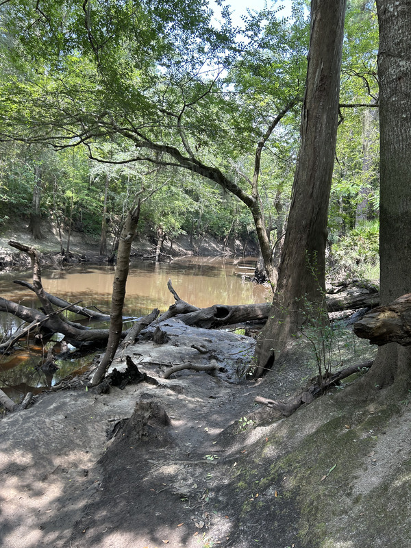 [Staten Road, Withlacoochee River @ Staten Road 2023-07-20]