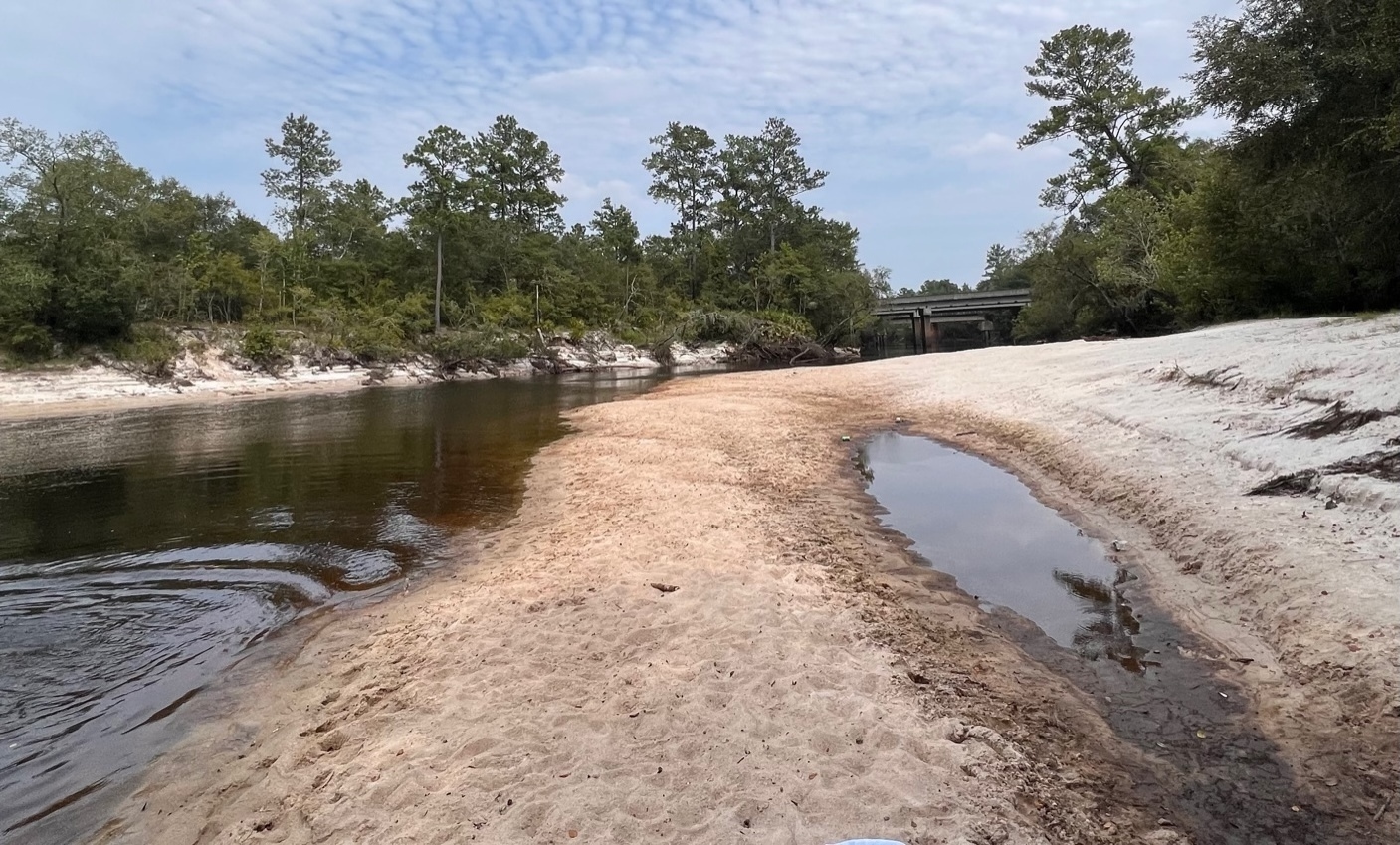 Naylor Beach, Alapaha River @ US 82 2023-07-20