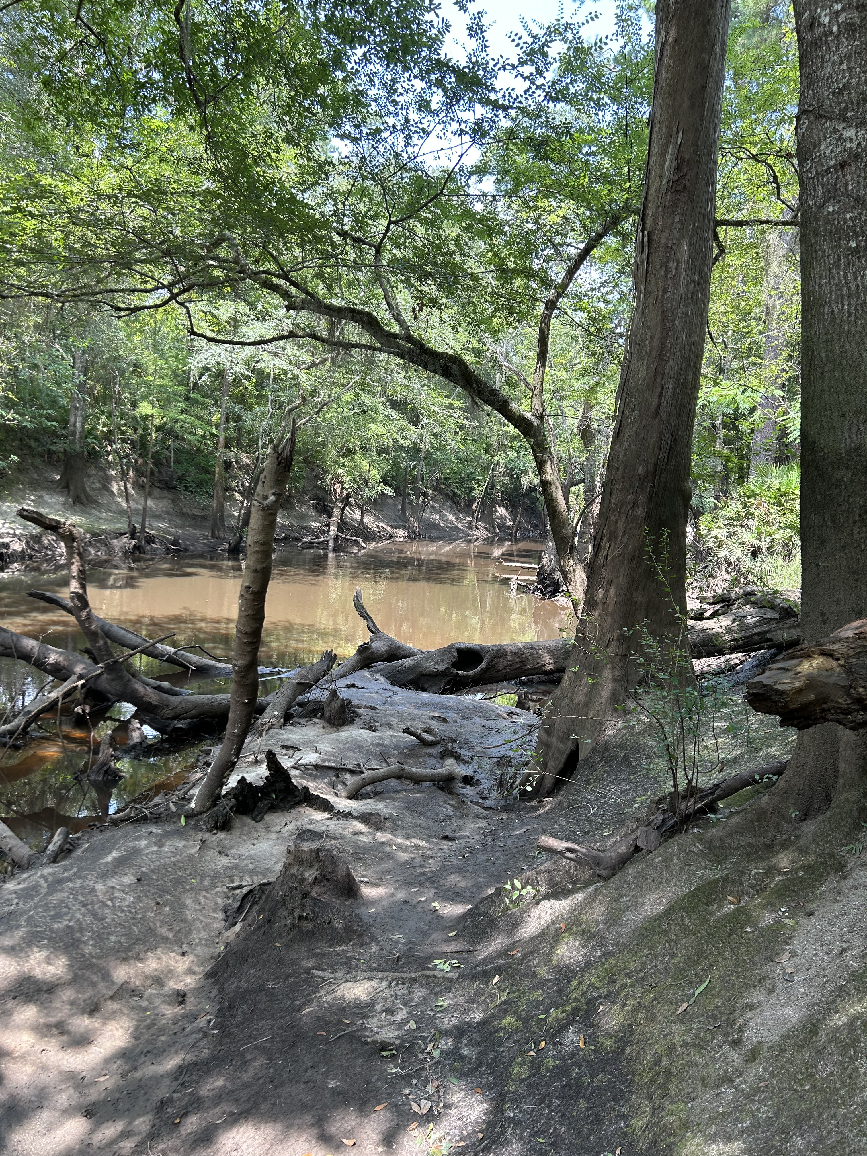 Staten Road, Withlacoochee River @ Staten Road 2023-07-20