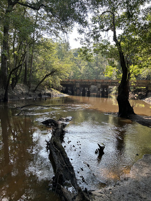 [Franklinville, Withlacoochee River @ Frankinville Road 2023-07-20]