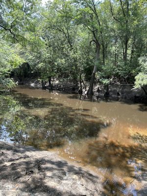 [Staten Road downstream, Withlacoochee River @ Staten Road 2023-07-20]