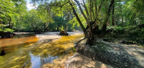 [Sugar Creek Confluence with Withlacoochee River, 09:59:56, 30.8639123, -83.3210343]