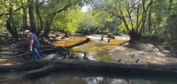 [Phil Royce walking the log, 10:15:30, 30.8638342, -83.3210049]