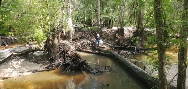 [Phil Royce returning on the log, 10:31:04]