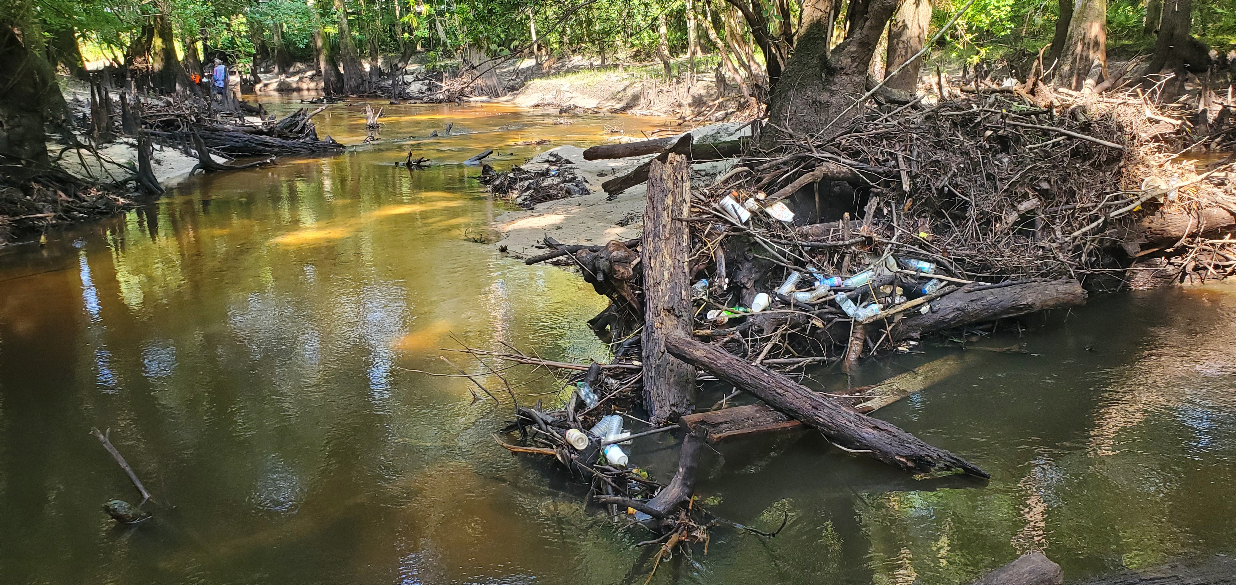 The biggest remaining trashjam, 09:59:46, 30.8639123, -83.3210343