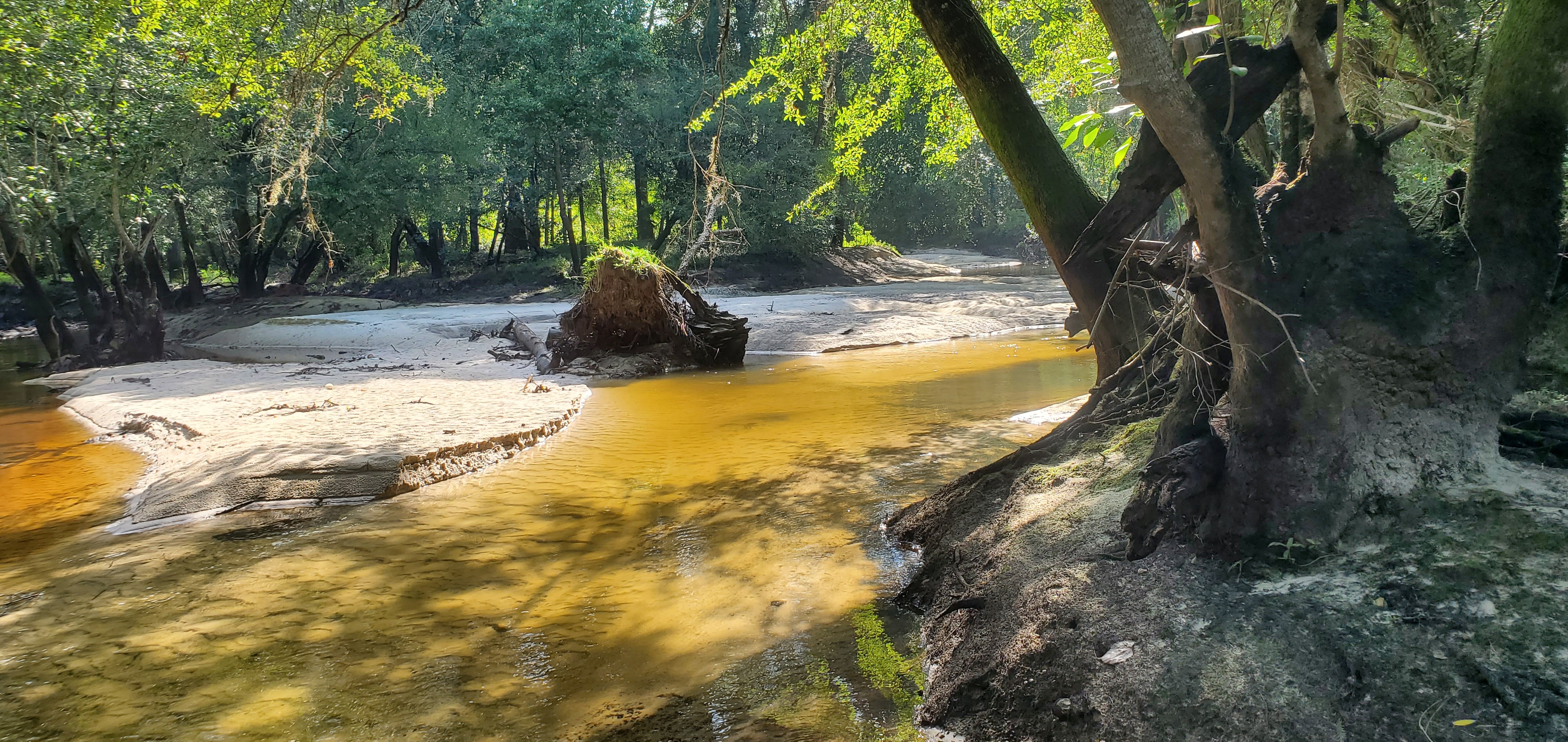 Nice river. Shame it gets trashed, 09:59:54, 30.8639123, -83.3210343