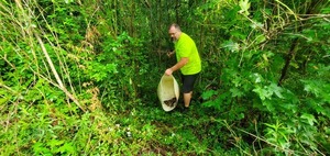 [Bucket of deer bones, 09:31:16, 30.8625123, -83.3203583]