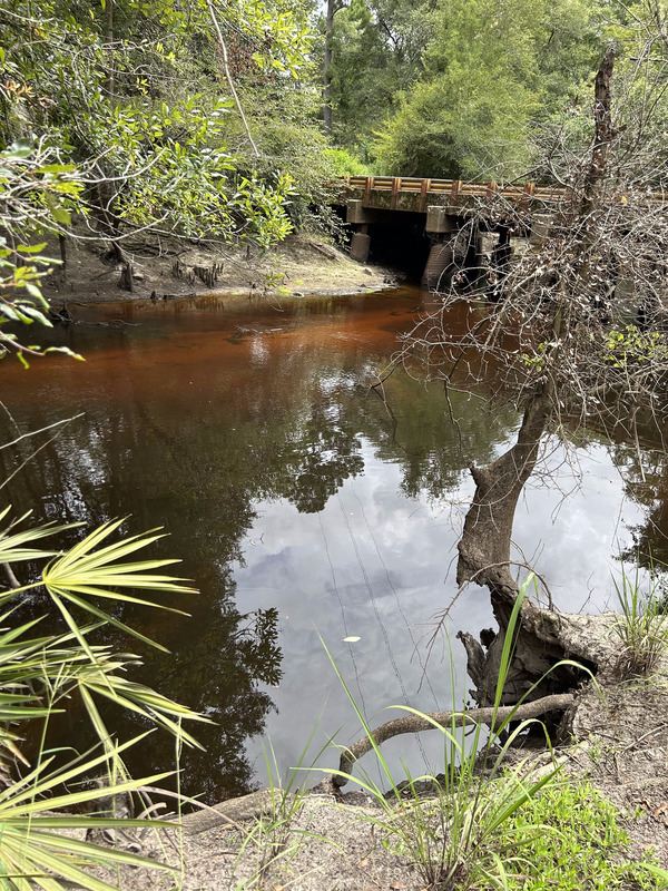 [Franklinville, Withlacoochee River @ Frankinville Road 2023-07-28]