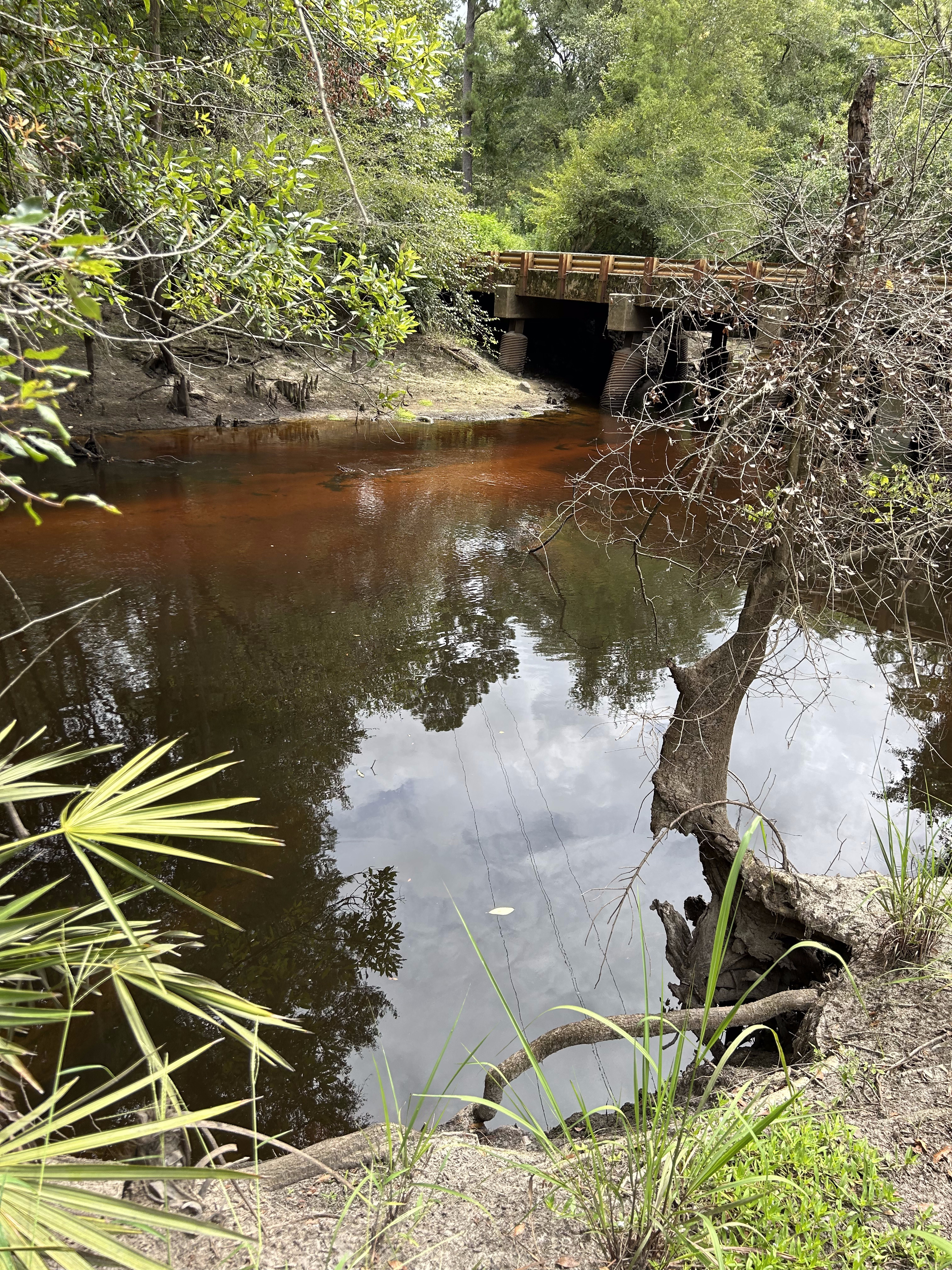 Franklinville, Withlacoochee River @ Frankinville Road 2023-07-28