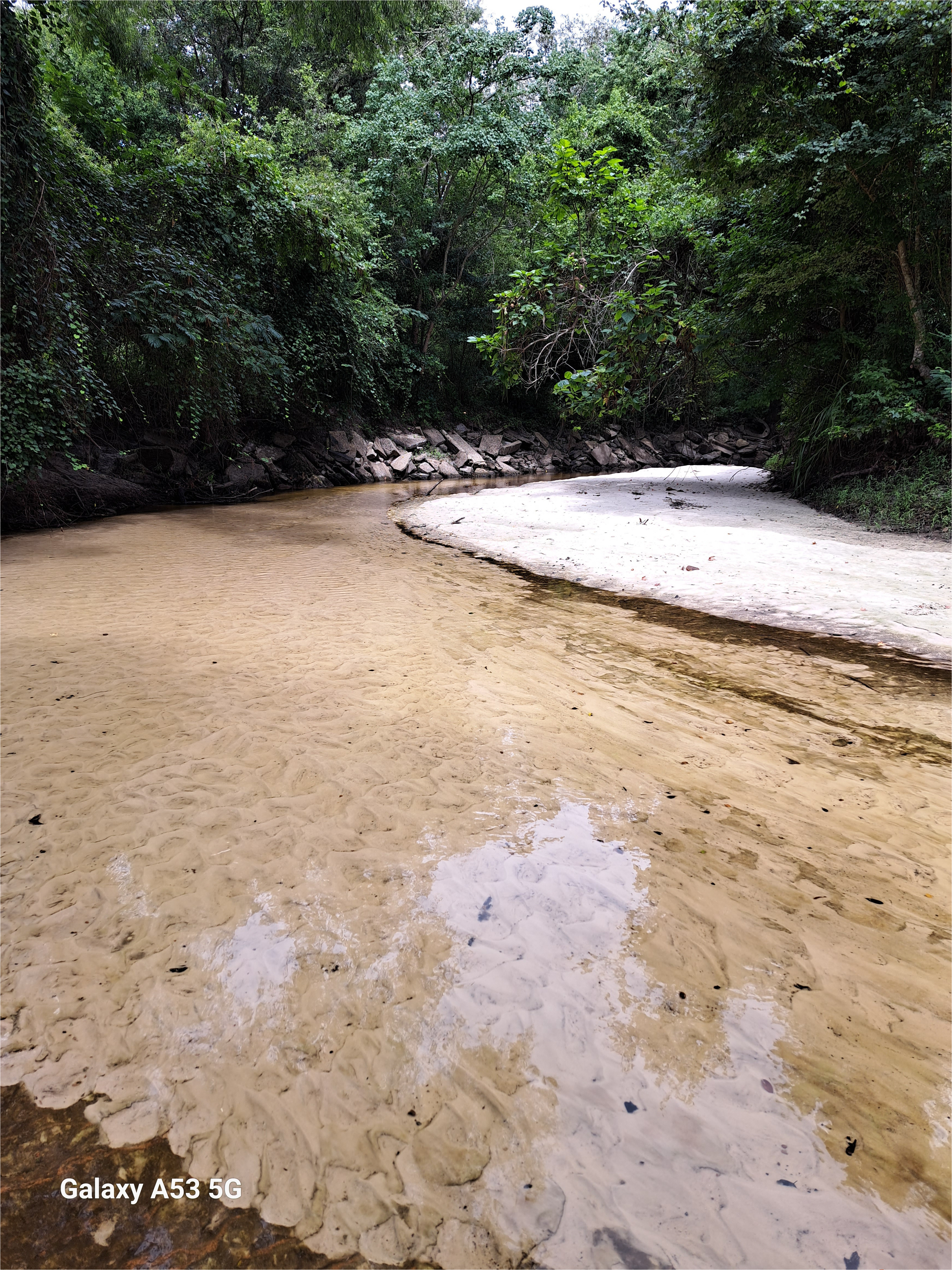 Sugar Creek, Withlacoochee River @ Gornto Road 2023-07-28