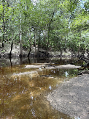 [Staten Road upstream, Withlacoochee River @ Staten Road 2023-07-28]