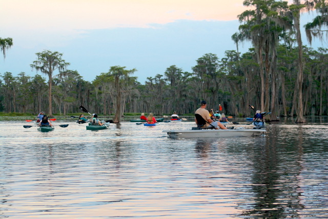 Into the cypress trees