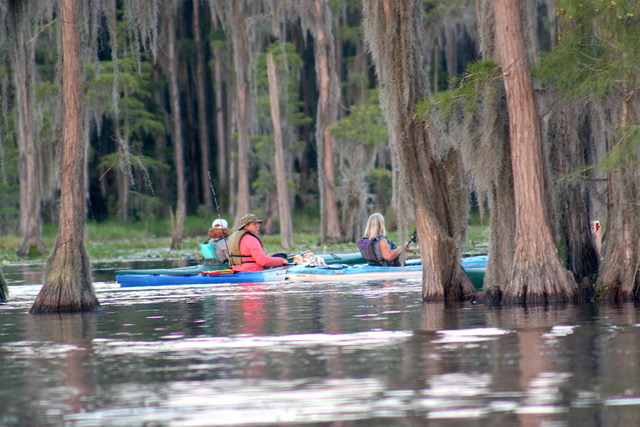 Trio in the cypress trees