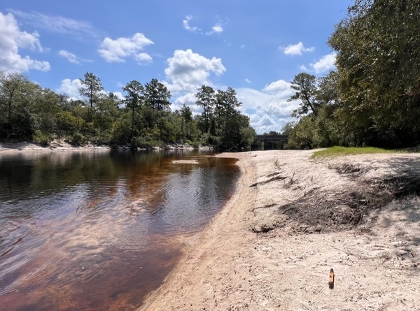 [Naylor Park Beach, Alapaha River @ US 84 2023-08-03]