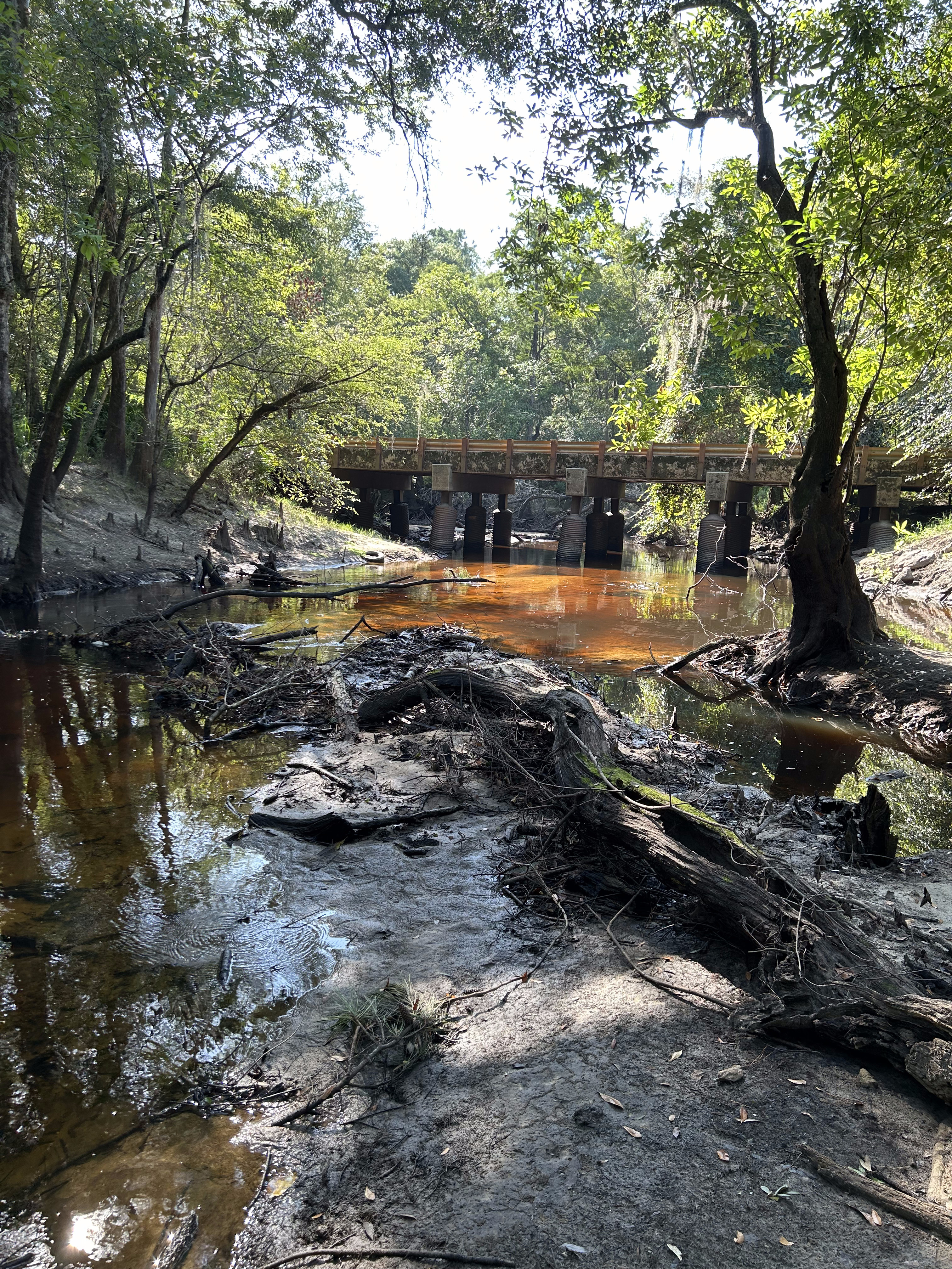 Franklinville, Withlacoochee River @ Frankinville Road 2023-08-03