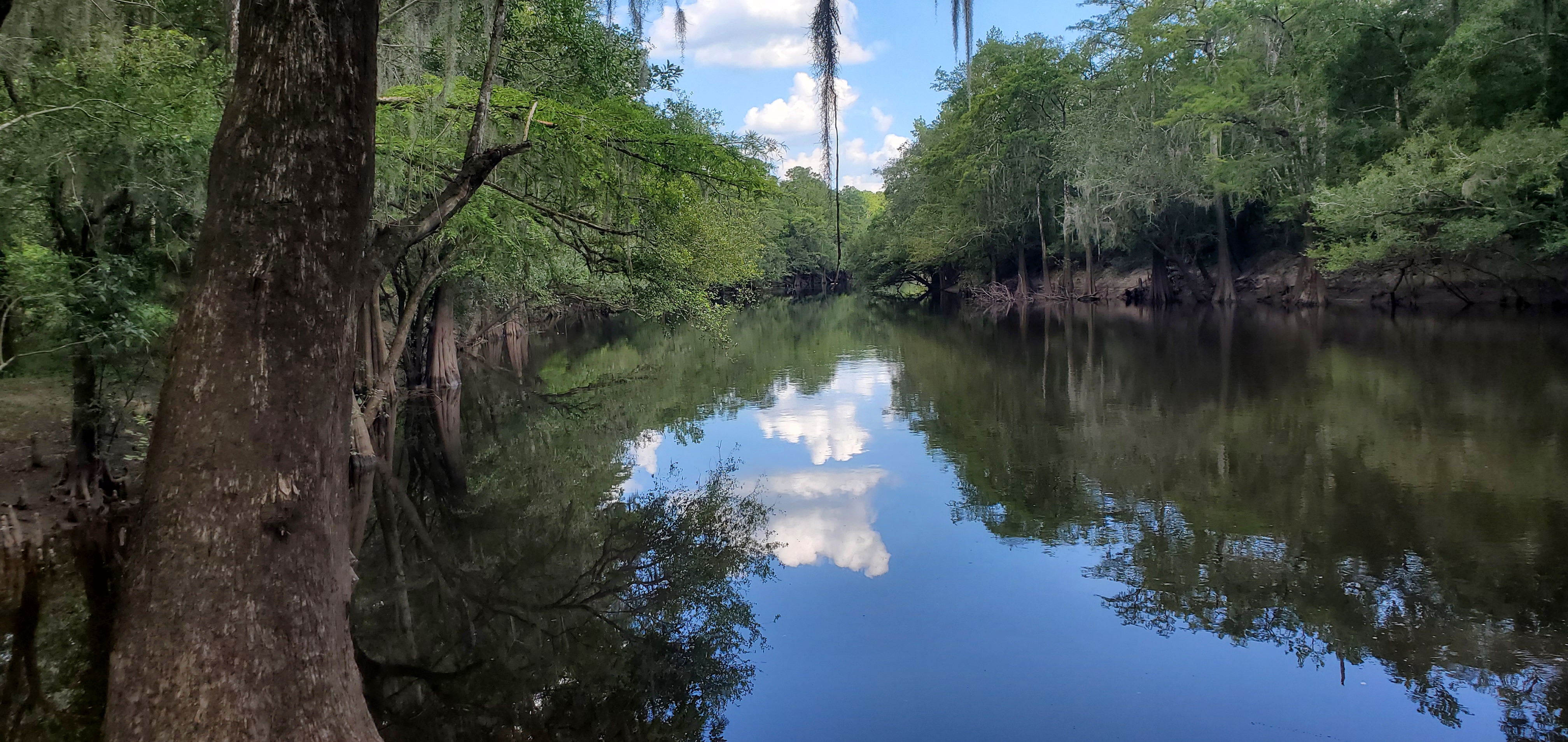 Knights Ferry Boat Ramp downstream, Withlacoochee River @ Knights Ferry Road 2023-08-03