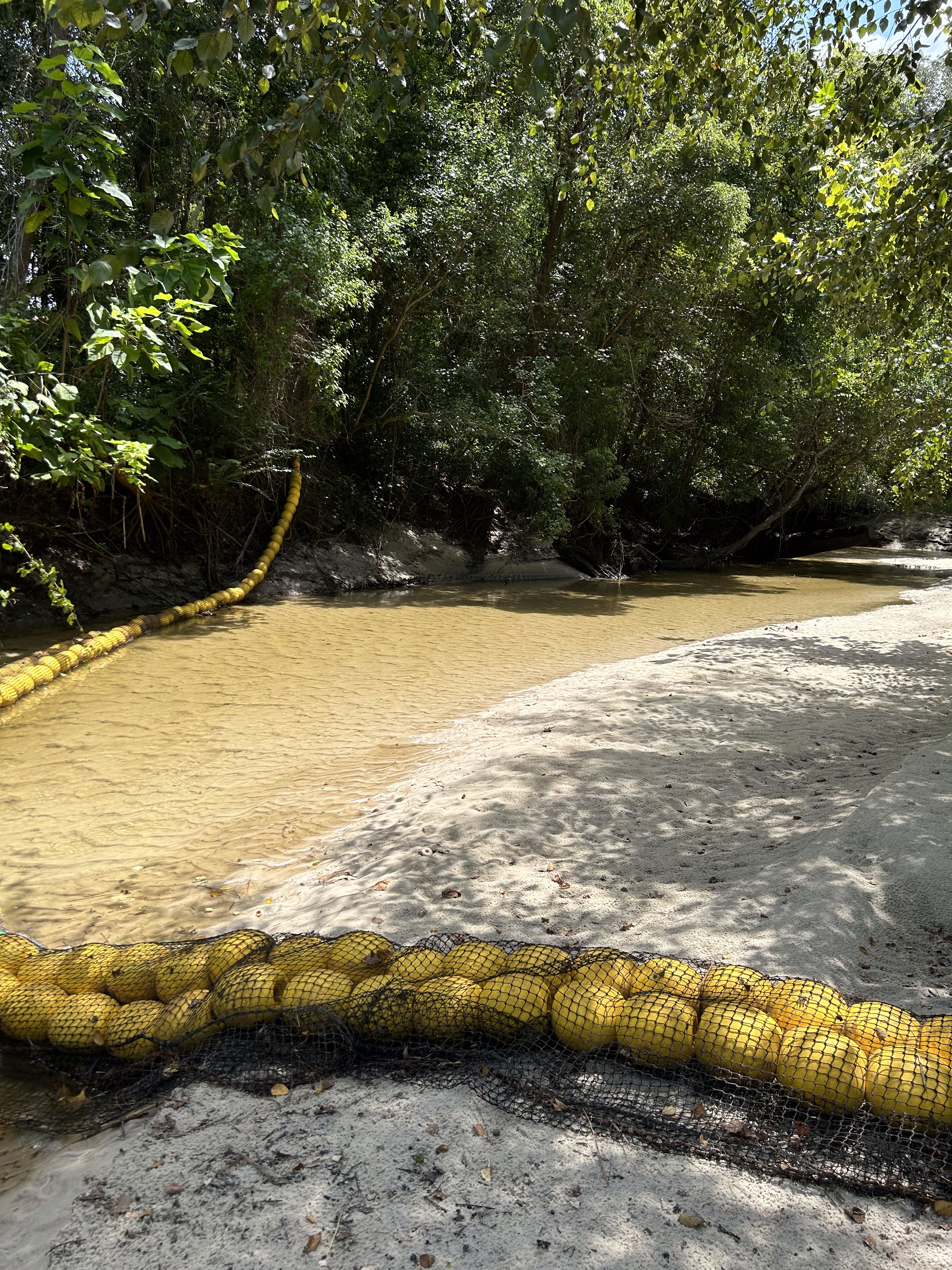 Sugar Creek, Withlacoochee River @ Gornto Road 2023-08-01