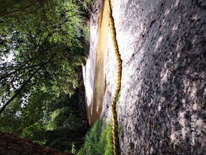 [Sugar Creek downstream, Withlacoochee River @ Gornto Road 2023-08-01]