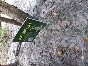 [Sugar Creek Sign, Withlacoochee River @ Gornto Road 2023-08-01]