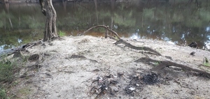 [Trash, Knights Ferry Boat Ramp, Withlacoochee River @ Knights Ferry Road 2023-08-03]