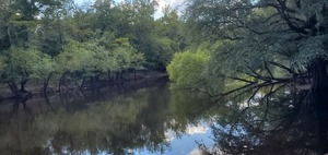 [Knights Ferry Boat Ramp upstream, Withlacoochee River @ Knights Ferry Road 2023-08-03]