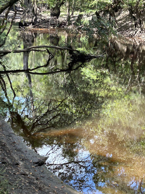 [Staten Road downstream, Withlacoochee River @ Staten Road 2023-08-03]