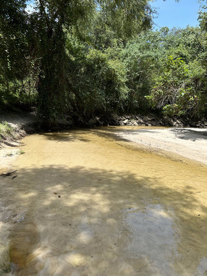 [Sugar Creek downstream, Withlacoochee River @ Gornto Road 2023-08-01]