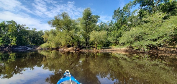 Willows from downstream, 10:33:06, 30.7045247, -83.4521503