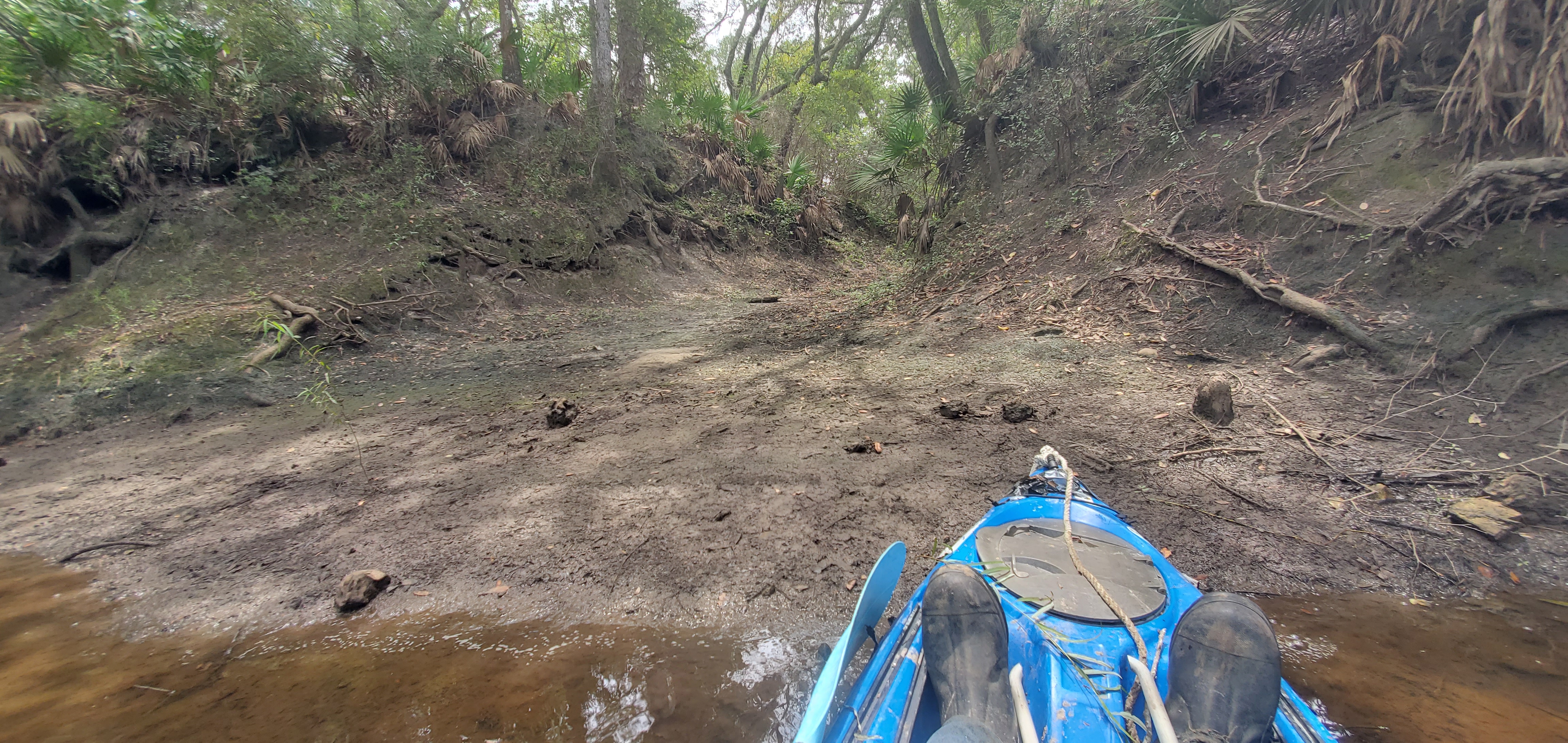 Garrett Road Landing, 13:49:52, 30.6863798, -83.4259864