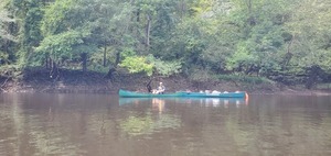 [William Szalkay and the trash canoe convoy, 13:11:02, 30.6887642, -83.4398017]