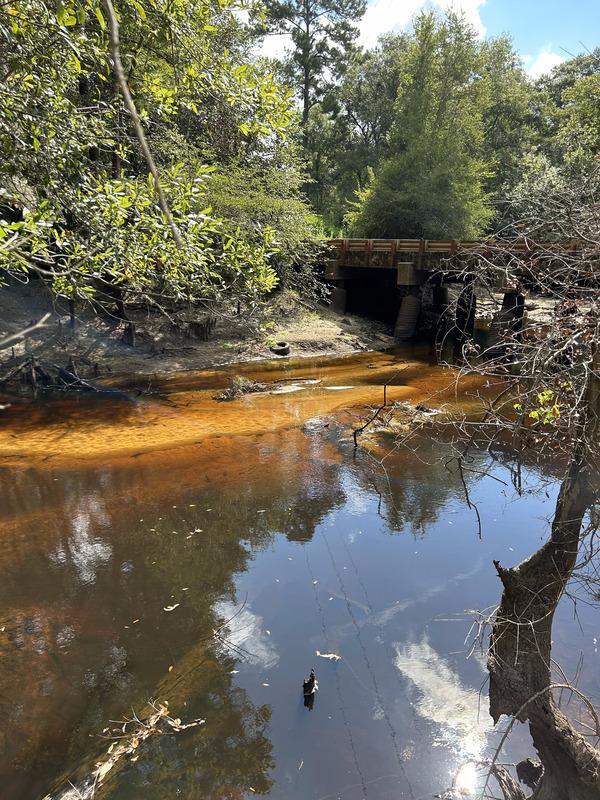 [Franklinville, Withlacoochee River @ Frankinville Road 2023-08-10]