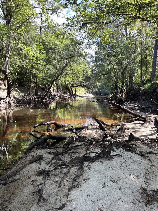 [Staten Road, Withlacoochee River @ Staten Road 2023-08-10]