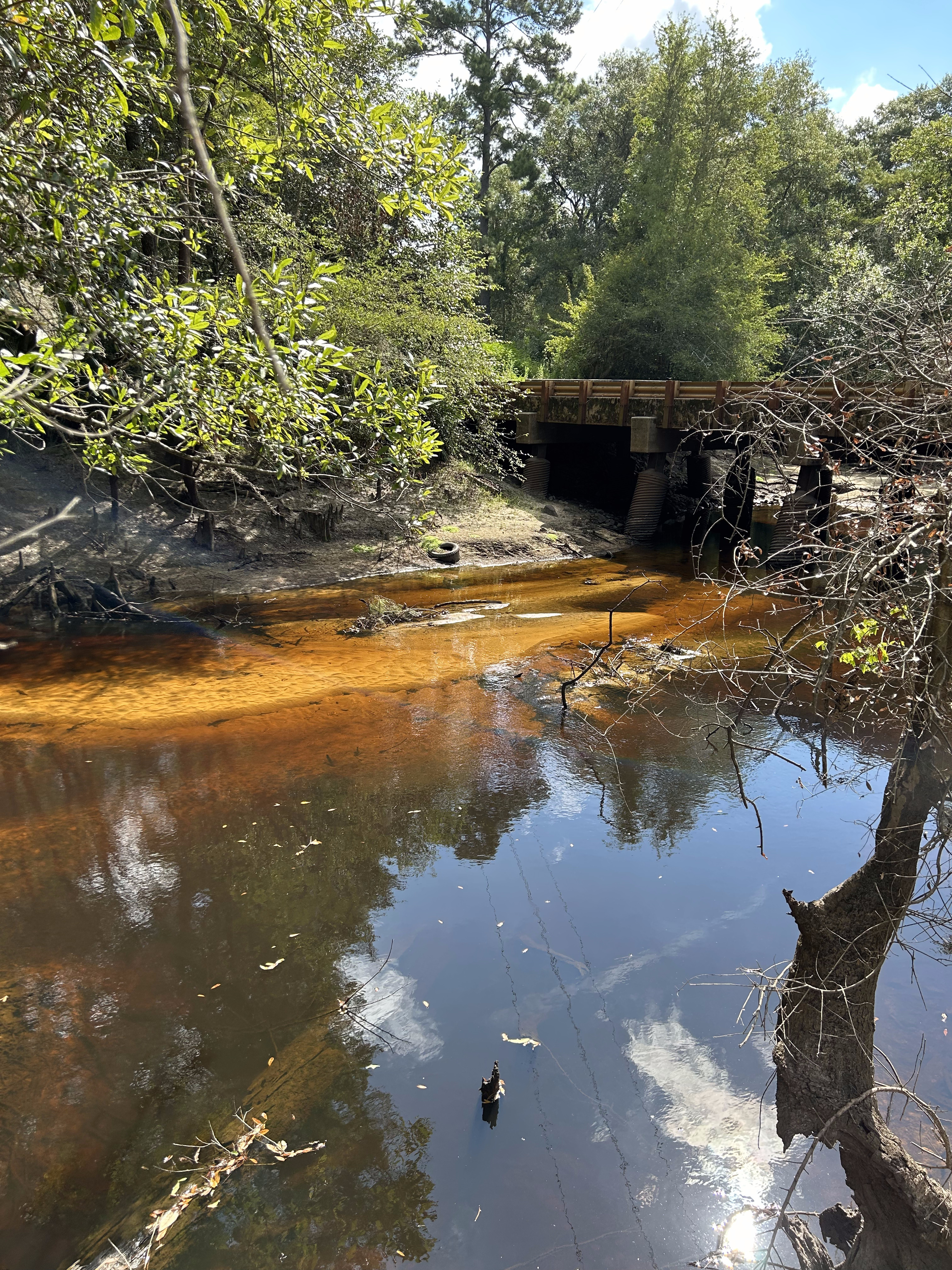 Franklinville, Withlacoochee River @ Frankinville Road 2023-08-10