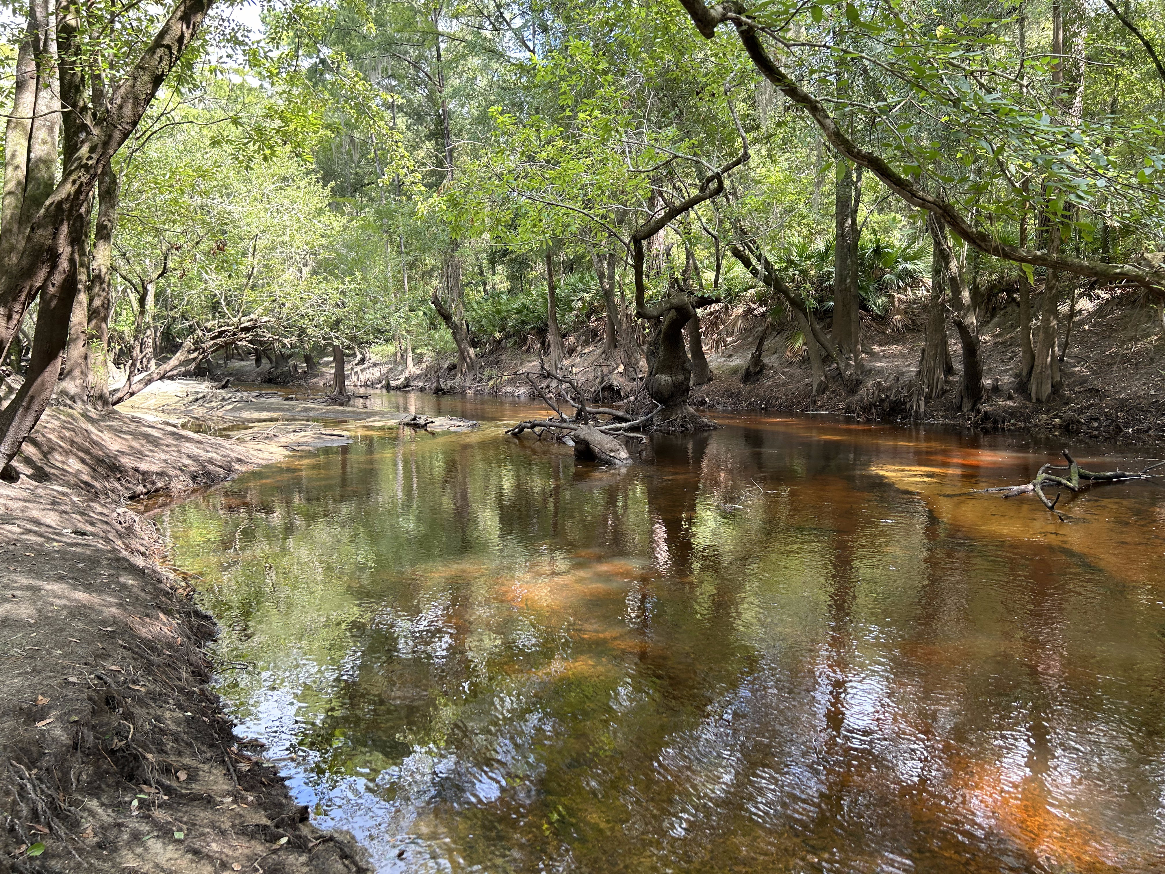 Franklinville downstream, Withlacoochee River @ Frankinville Road 2023-08-10