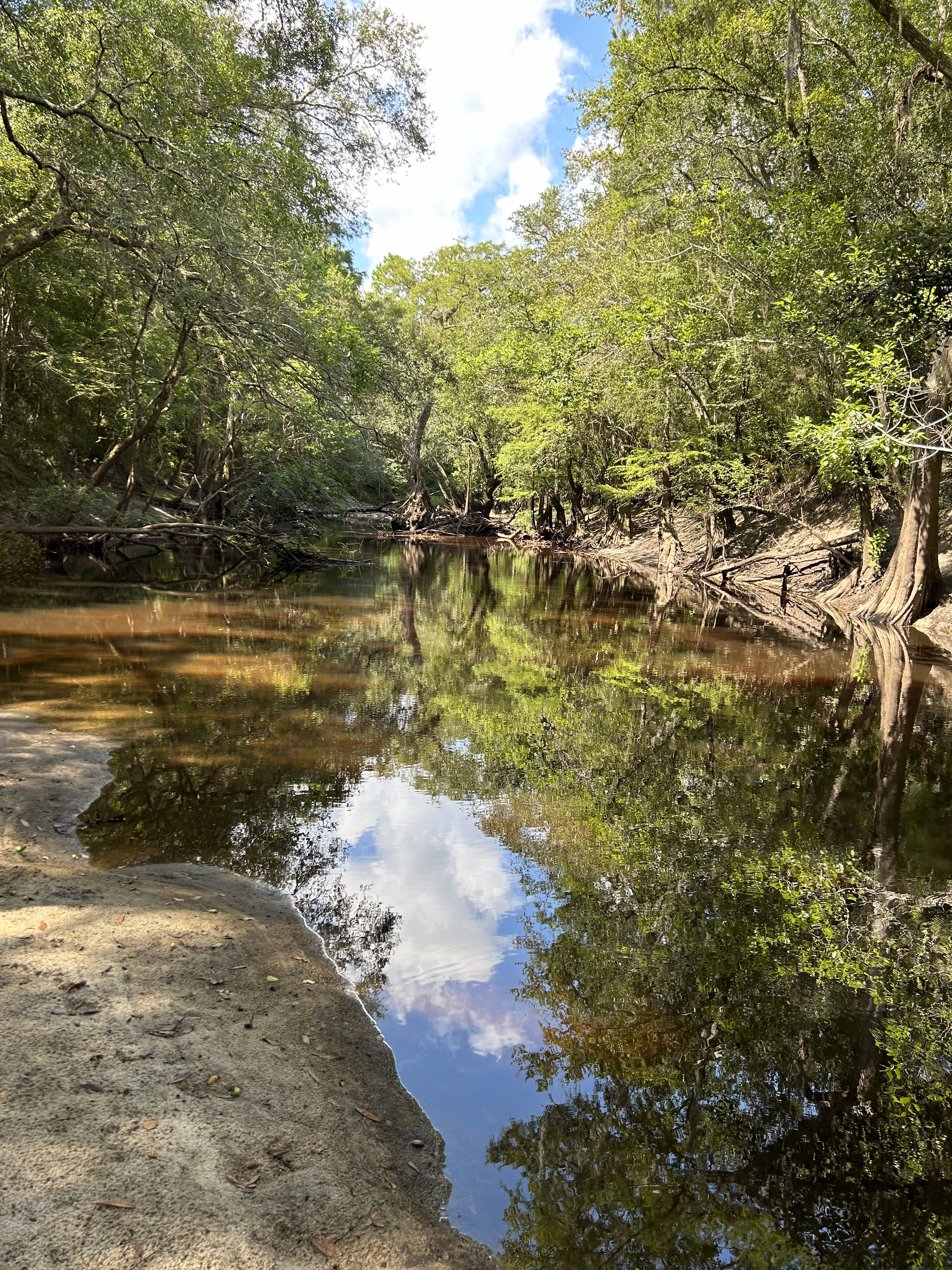 Staten Road downstream, Withlacoochee River @ Staten Road 2023-08-10