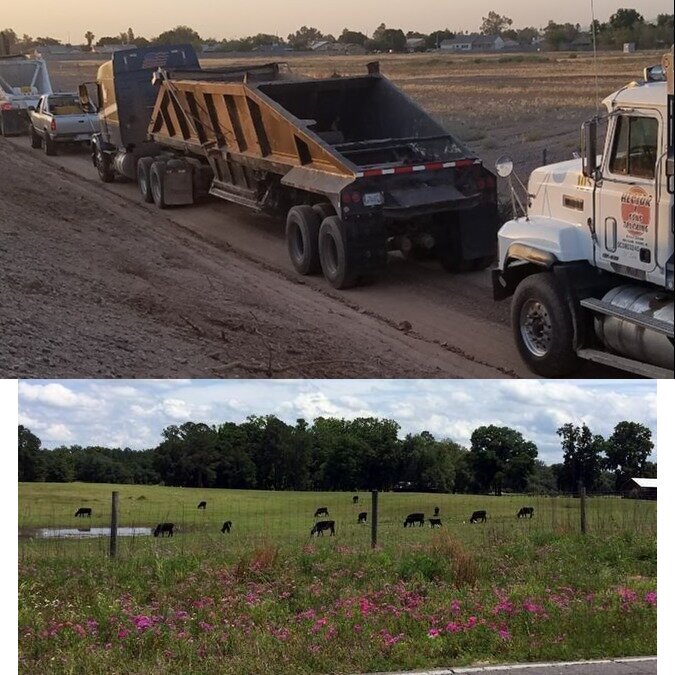 Mining trucks and cows