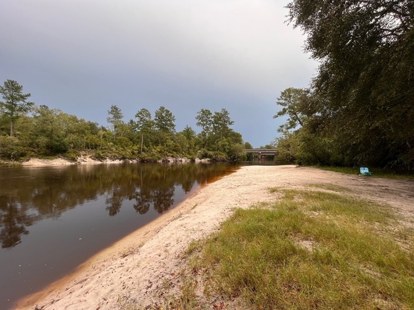 [Naylor Park Beach, Alapaha River @ US 84 2023-08-16]