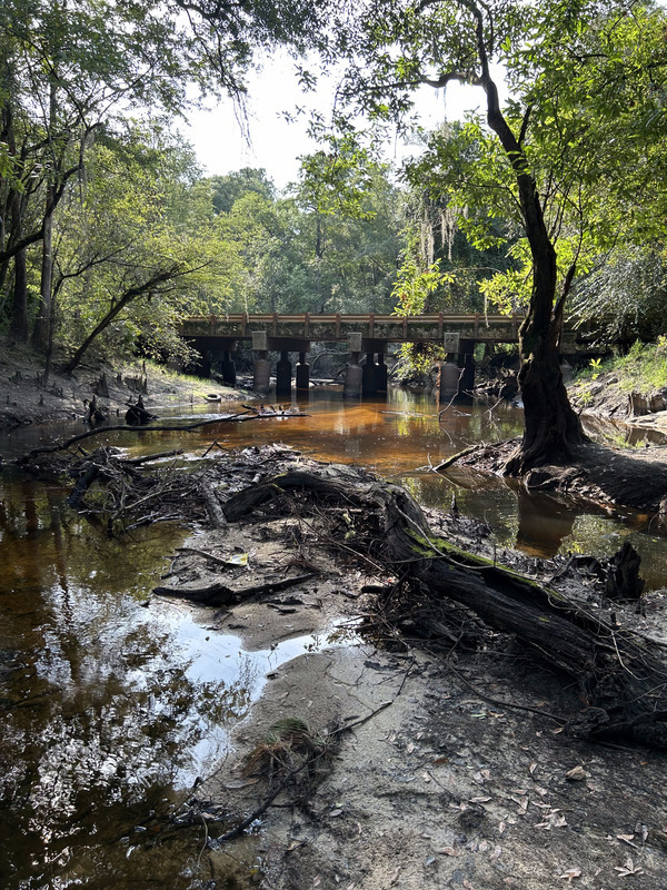 [Franklinville, Withlacoochee River @ Frankinville Road 2023-08-17]