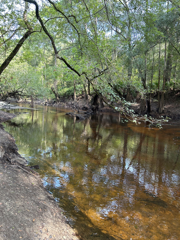 Franklinville downstream, Withlacoochee River @ Frankinville Road 2023-08-17