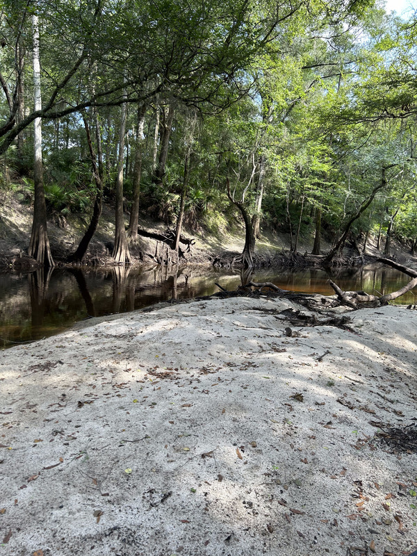 [Staten Road, Withlacoochee River @ Staten Road 2023-08-17]