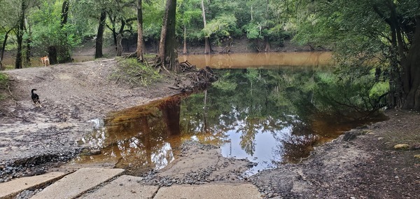 [Muddy Withlacoochee River, Knights Ferry Boat Ramp 2023-08-17]