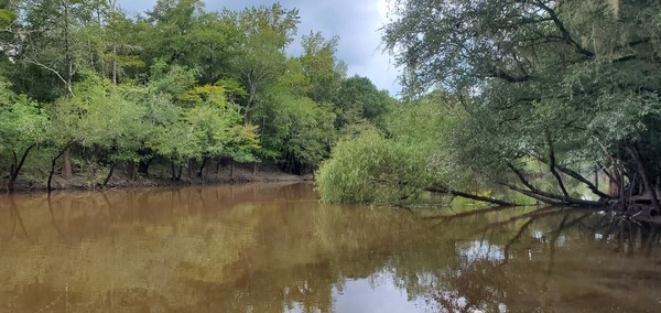 Upstream, Knights Ferry Boat Ramp 2023-08-17