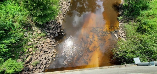 Below GA 133 Withlacoochee River Bridge 2023-08-17