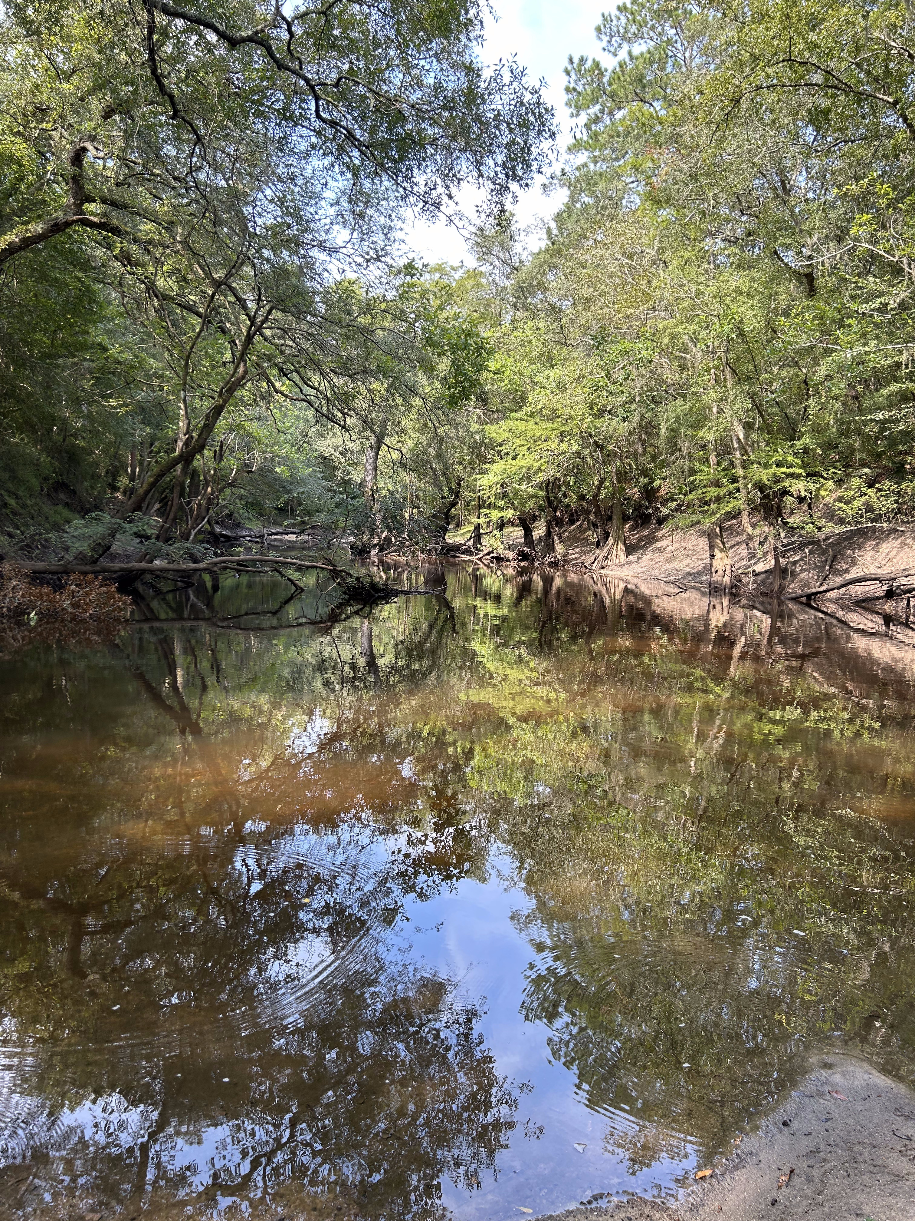 Staten Road downstream, Withlacoochee River @ Staten Road 2023-08-17