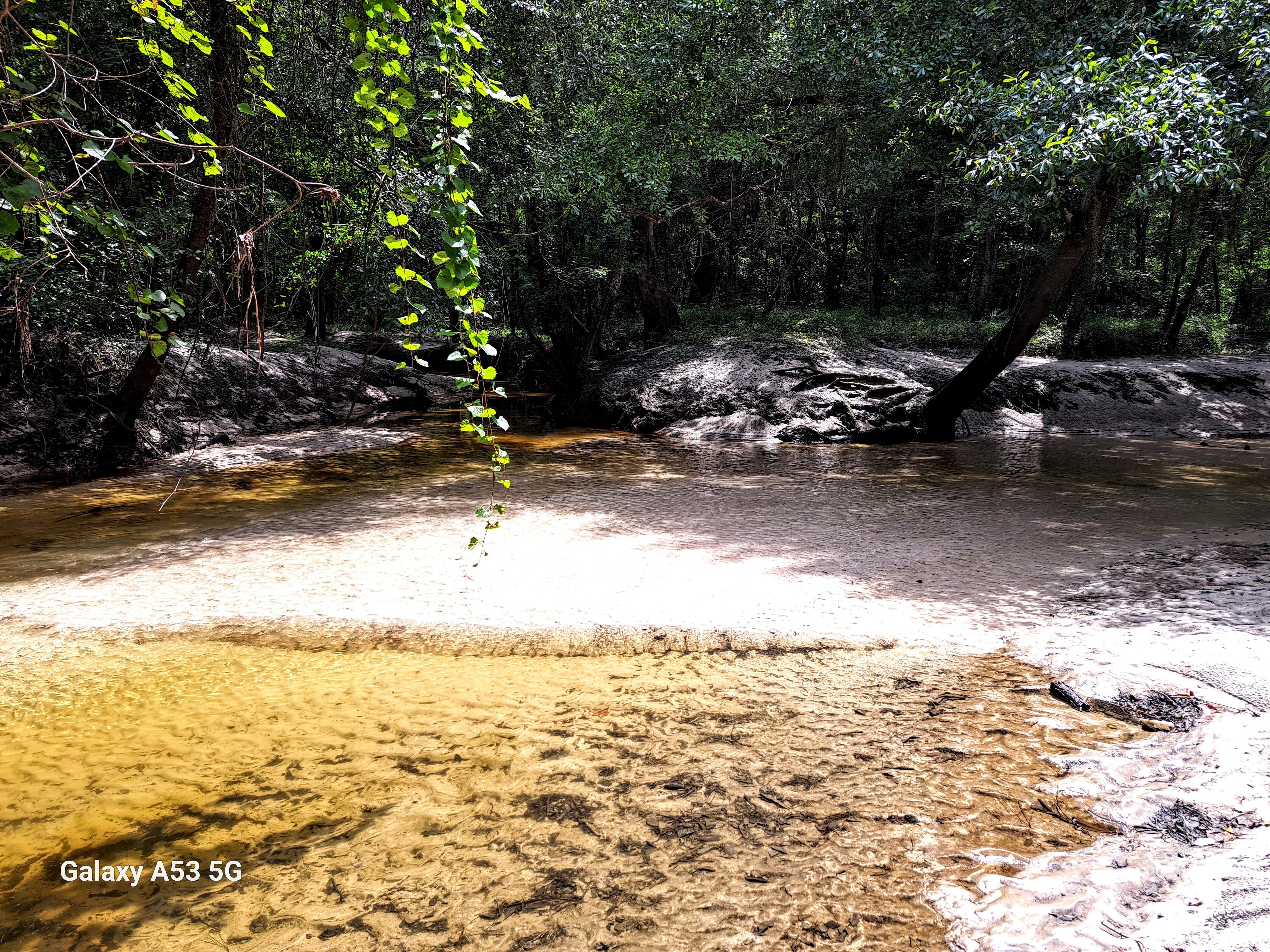 Two Mile Branch Confluence, Sugar Creek, Withlacoochee River @ Gornto Road 2023-08-17