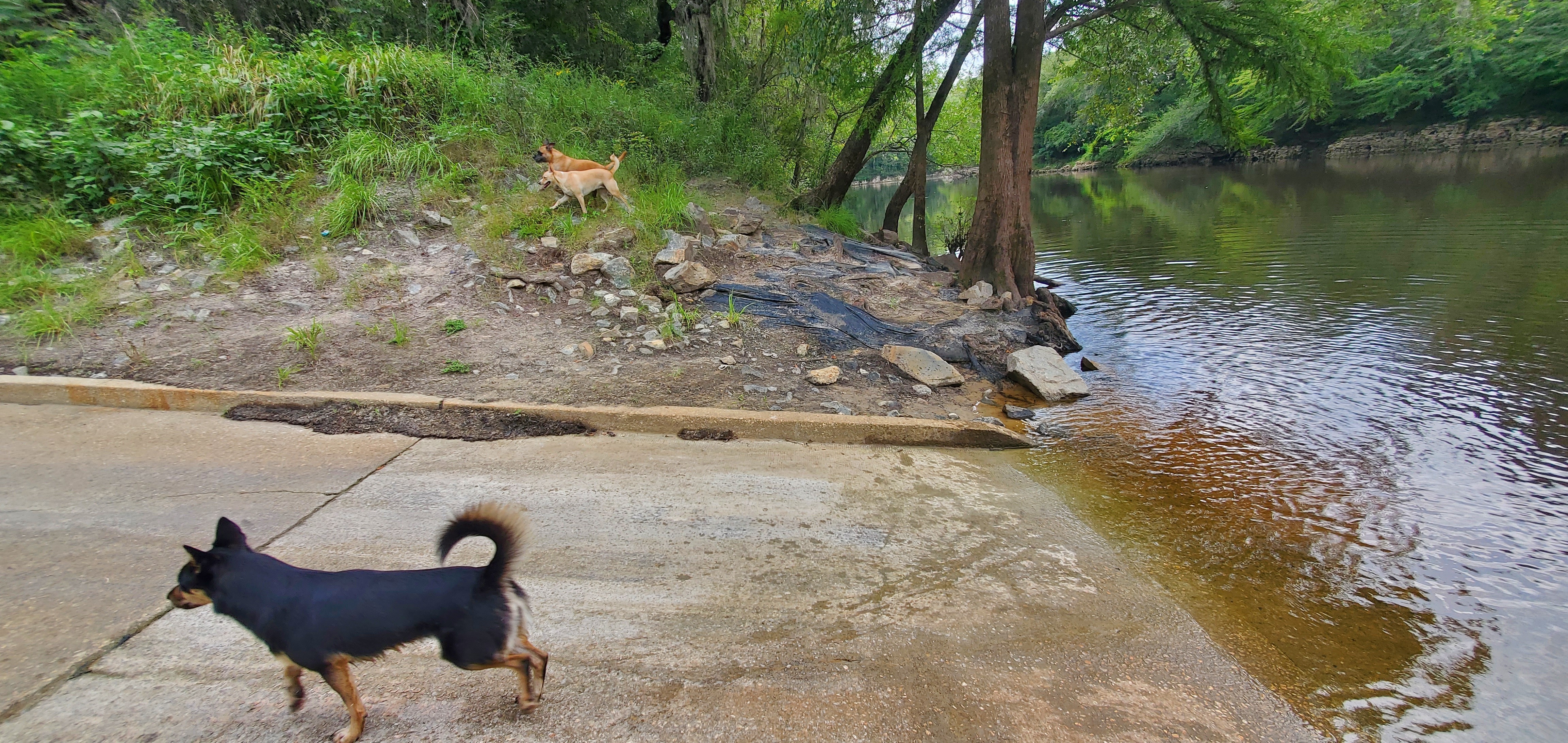 Downstream, State Line Boat Ramp 2023-08-17