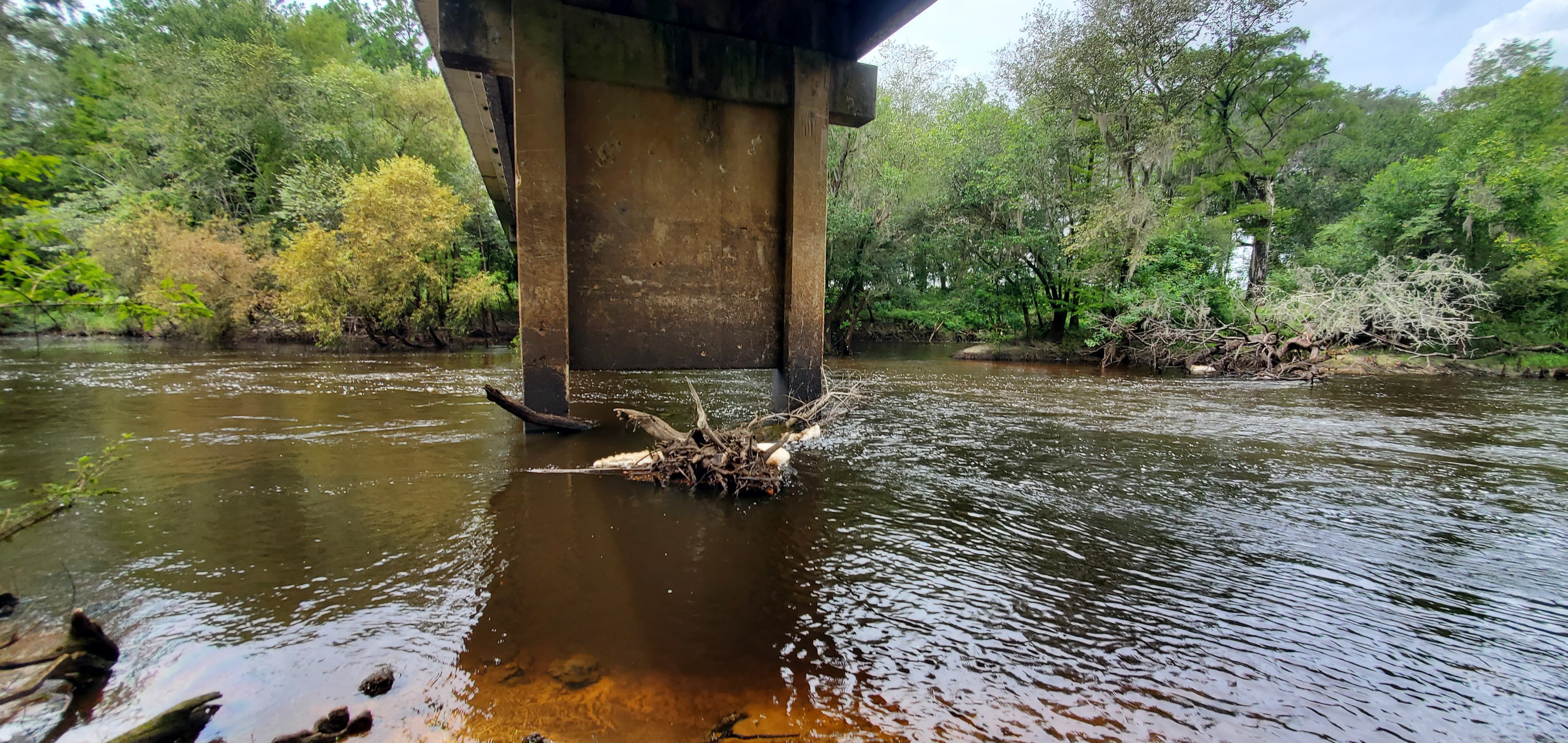 Flow and Level, Nankin Boat Ramp 2023-08-17