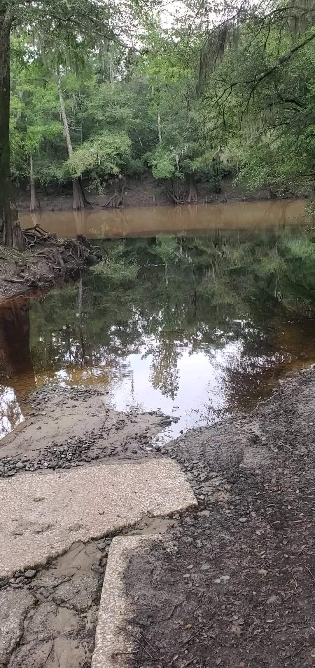 Movie: Muddy Withlacoochee River at Knights Ferry Boat Ramp 2023-08-17 (25M)